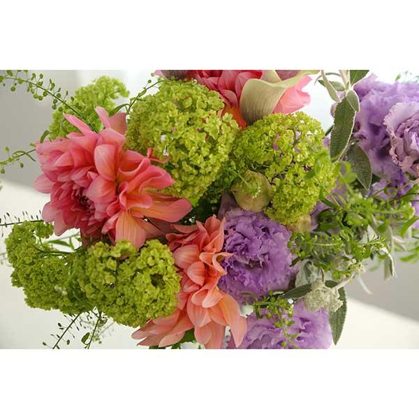 qhanna/nirniZNg G߂u[P L