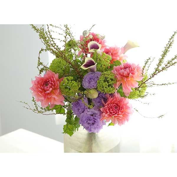 qhanna/nirniZNg G߂u[P XL