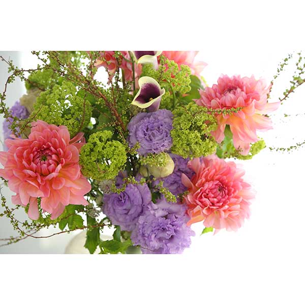 qhanna/nirniZNg G߂u[P XL