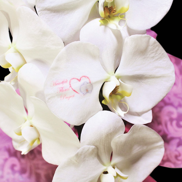 }CfUCӒ@i1{jibsOFS[hnj@