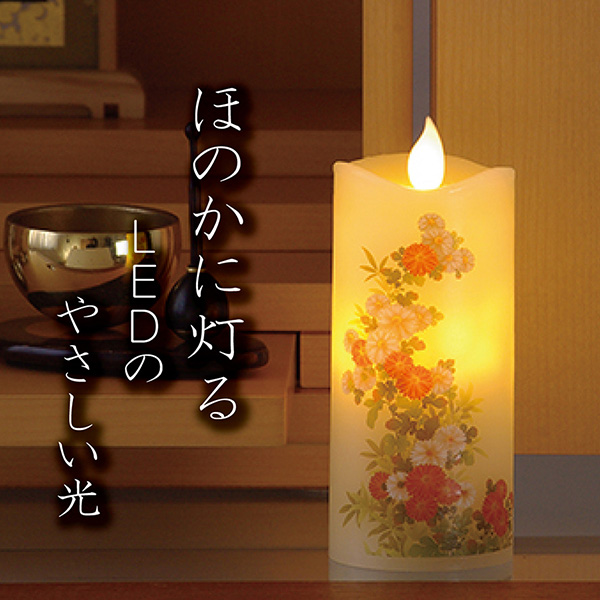 q񓰁rJ}@͂S e idr[\NjZbg