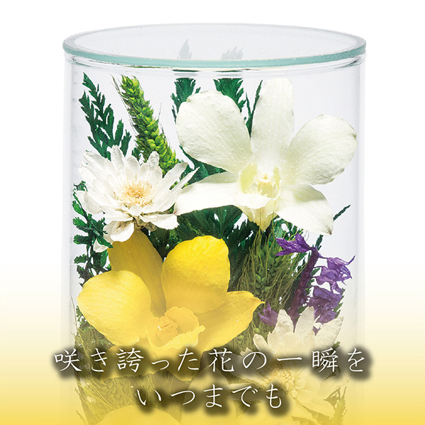 q񓰁rvG[MAB 1΁i2{j