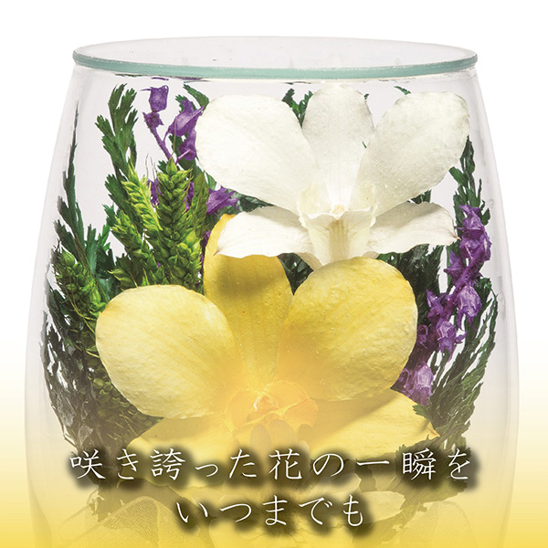 q񓰁rvG[SAB 1΁i2{j