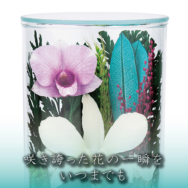 q񓰁rvG[SSA 1΁i2{j