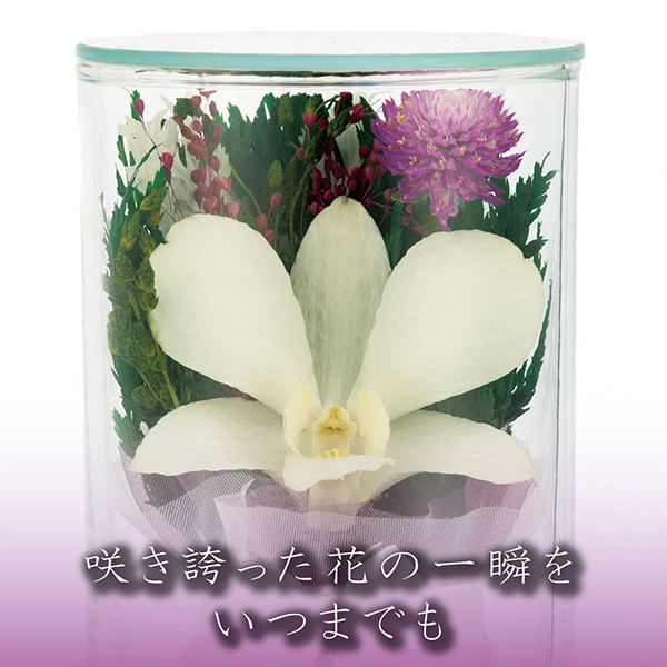 q񓰁rvG[QSA 1΁i2{j