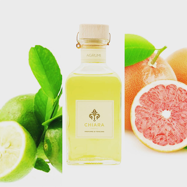 �q�L�A���t�B�����c�F�r�A�O���~�@���t�B��