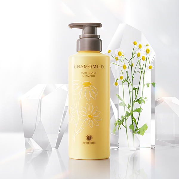 qnEXIu[[rJ}Ch sACXg Vv[ (tB)