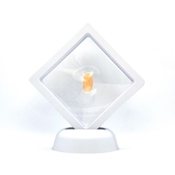 qŊ㍁r񂲃[XyӕʏE[X[P|Xtz