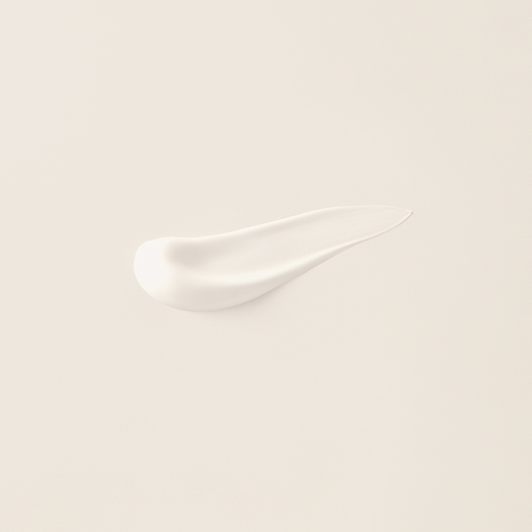 qFATUITE/t@`Cerj[ACW X[Xs[O