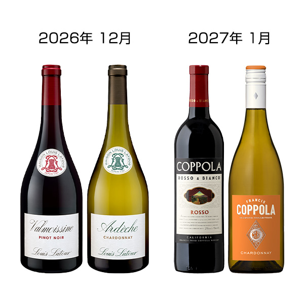 ���y����w���z�q�G�m�e�J���I�r�������C�i���[���ݔ�אԔ�2�{�Z�b�g