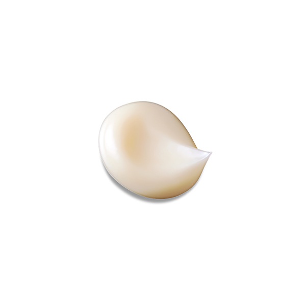 qNEhE|[ {[erEN[ [򕔊Oi]