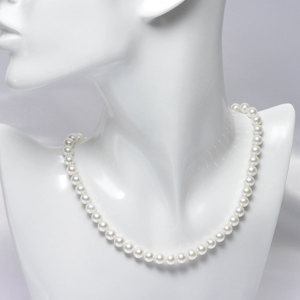 qŊ㍁rARp[lbNX(6.5-7.0mm)