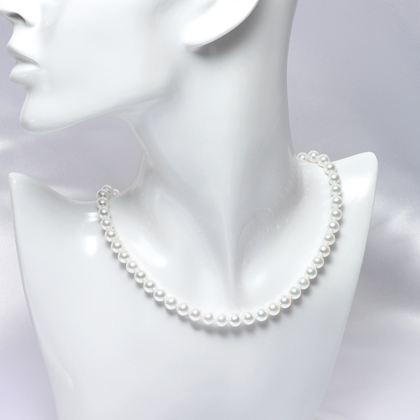 qŊ㍁rARp[lbNX(6.5-7.0mm)