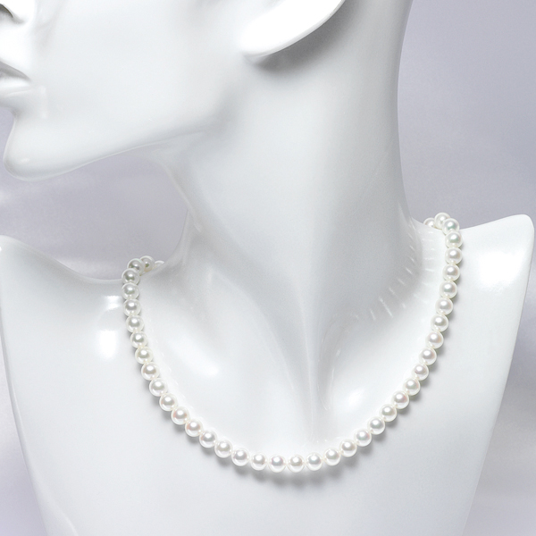 qŊ㍁rARp[lbNX(6.0-6.5mm)