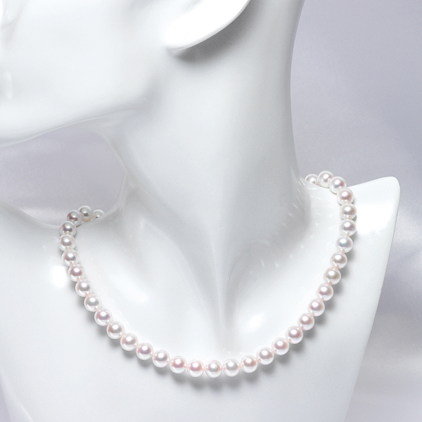 qŊ㍁rARp[lbNX(7.5-8.0mm)