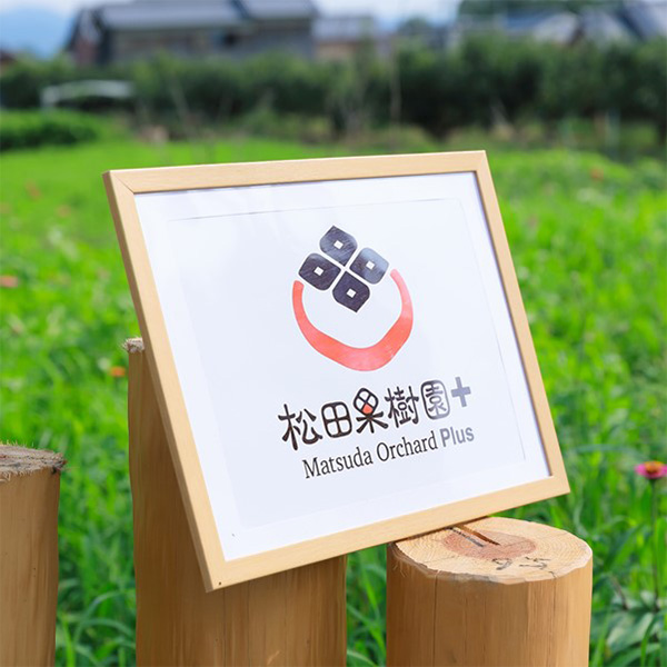 ޗǓX戵iqirodori kintetsurÂT ̃W