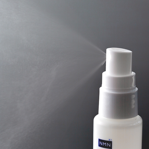 qEUREArEUREA(GEA) ~Xg