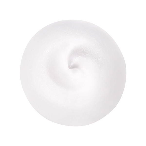 qSHISEIDO t[`[\[V LXrGNXg b` NWOtH[