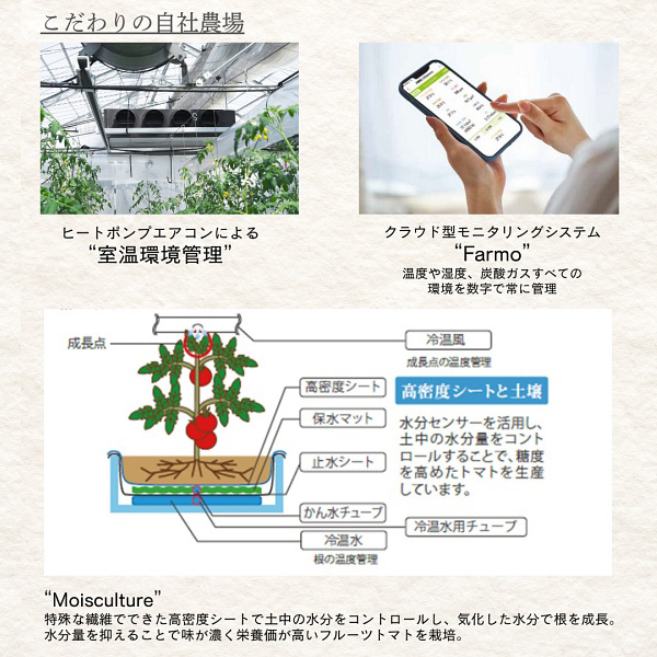 ◇HANAYOSHINO 大瓶(720ml)*