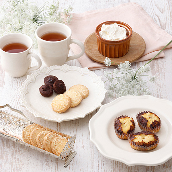 qV[L[urnbs[XEB[gA\[gS