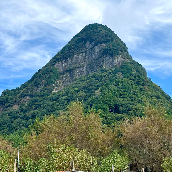 ޗǓX戵iq_𑢁rwZxxufbhg