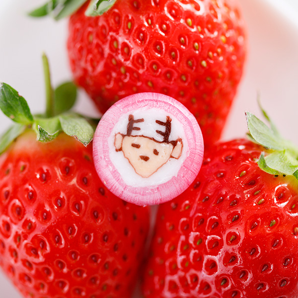 奈良店取扱い商品〈ANYQOTT/エニコット〉鹿あめ スタンドパウチ 抹茶味&いちご味