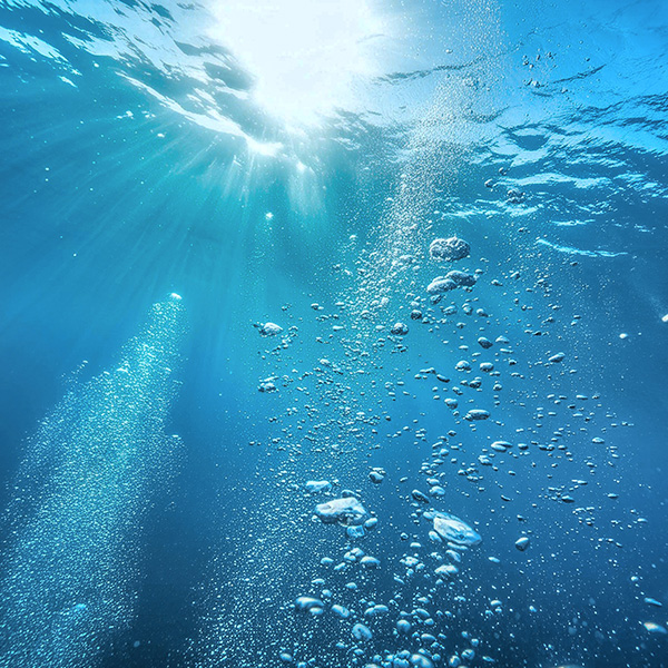 〈BIJEL/ビジェル〉シーセラ ディープミストシャワー