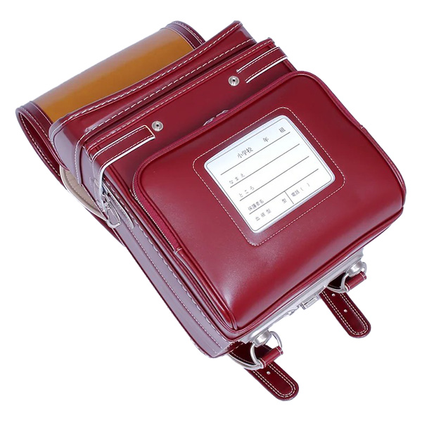 q2026 ߓS̃hZrC@܂Ԃǂ̂iCj@y z