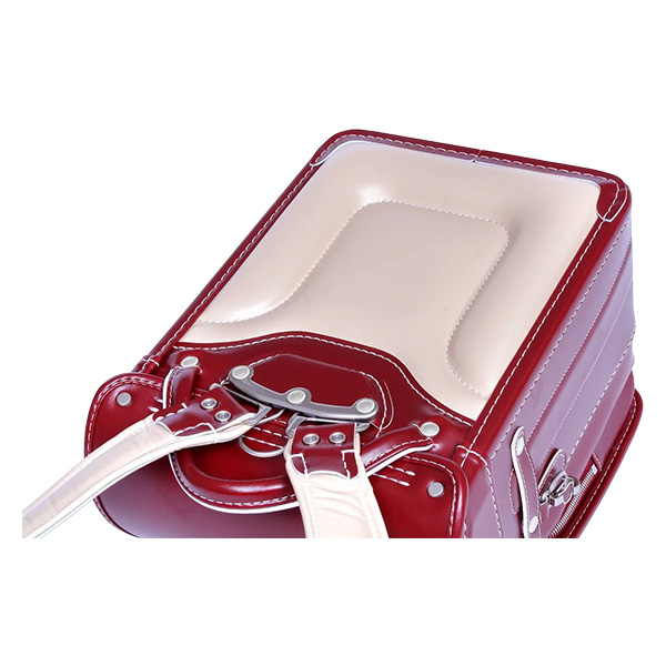 q2026 ߓS̃hZrC@܂Ԃǂ̂iCj@y z