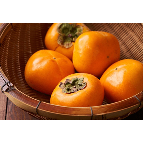 ޗǓX戵iqpickles-yar[Ogp `łVbv