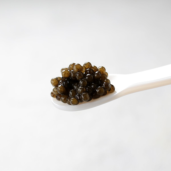 kCYɂƓYLrÁuɃLrAv