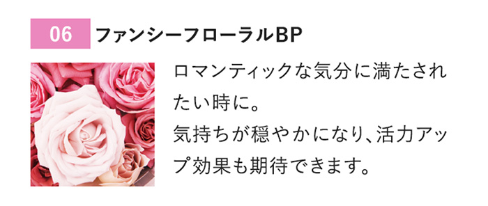 Badens/バーデンス〉アロマシャンプートリートメント