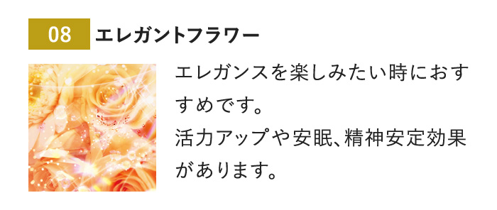 GKgt[̍