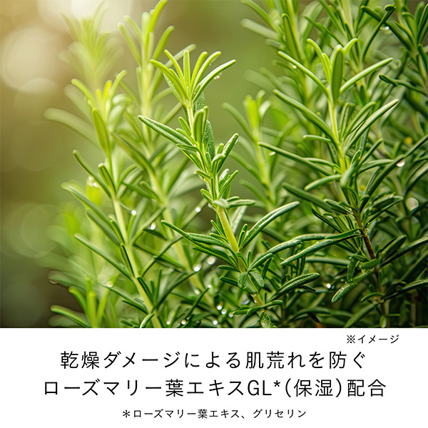 〈クレ・ド・ポー ボーテ〉ローションエサンシエルA(レフィル)