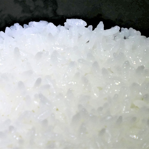 qLcā@Eqqrɂ̂͂@HACHI 3