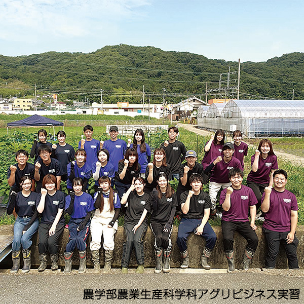 y1231͂zy102zuߑ喡߂肨v QlpAd(aEmE)