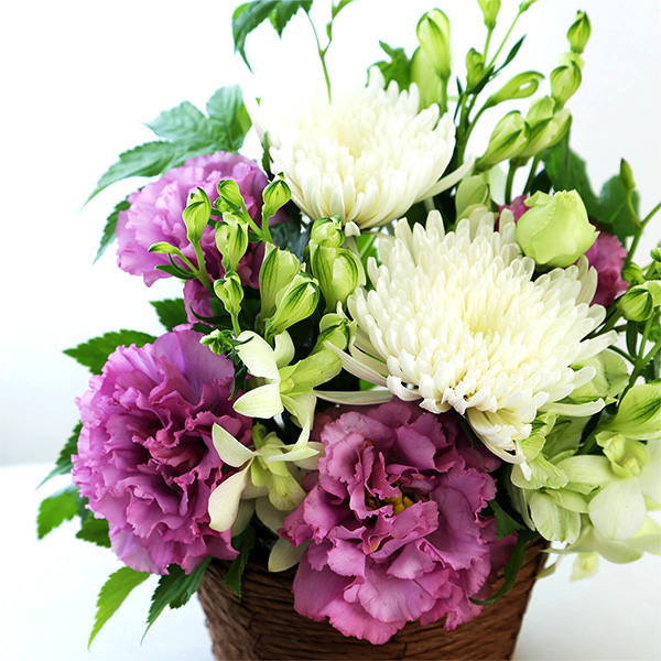 qBLANC hanna/unir̉ԁuȂ݁vJ[^Cv