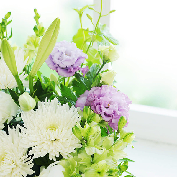 qBLANC hanna/unir̉ԁûvJ[^Cv