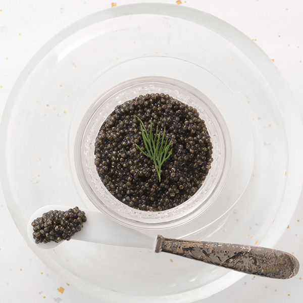 ���y�t���b�V���L���r�A�z�n���L���r�A�^��ǂ�