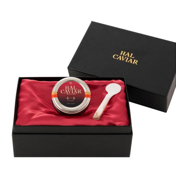 ���y�t���b�V���L���r�A�z�n���L���r�A�^�t���