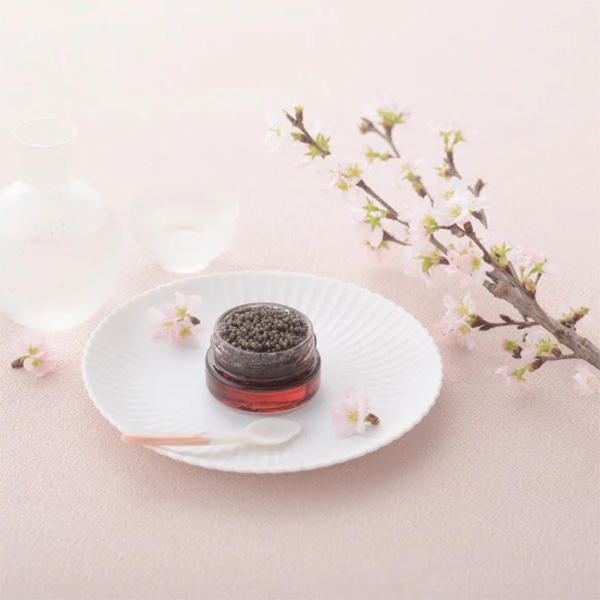 ���y�t���b�V���L���r�A�z�n���L���r�A�^�t���