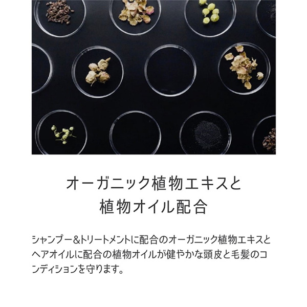 qnzjRryHAPPYBAGzPebNX@_[WPAZbg