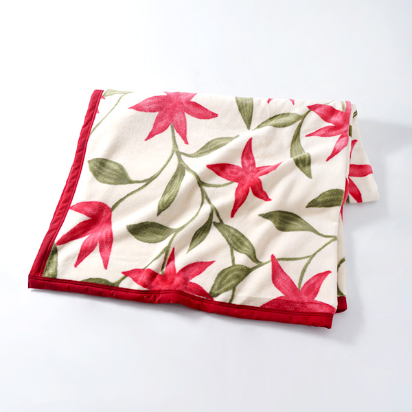 qÃR[|[Vr2026N܁@Vr@Ȗѕz(щH)2Zbg