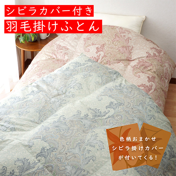 qÃR[|[Vr2026N܁@2wHтӂƂ/u[@VrȃJo[t