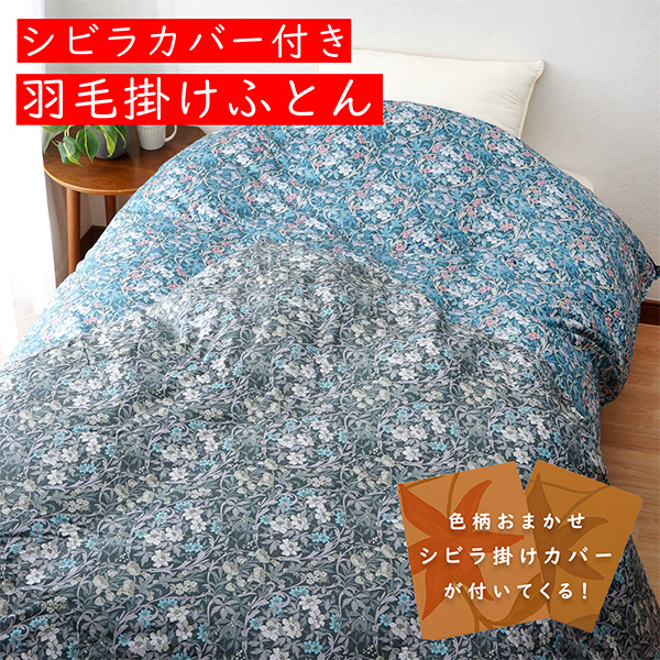 qÃR[|[Vr2026N܁@2wHтӂƂ/u[@VrȃJo[t