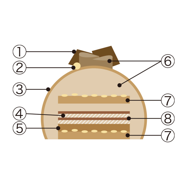 51.LzP[LqsG[EGEprm}h vW[ VN