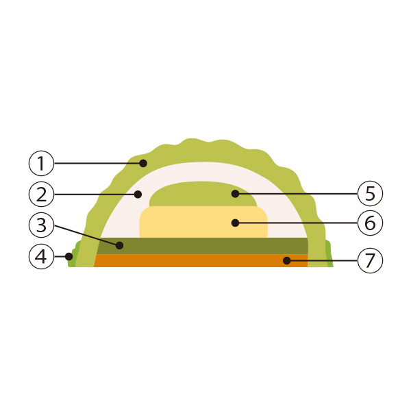 lsXy1224()Az10.qgN[wrv~AsX^`IZ