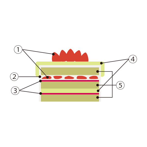 a̎RXy1224()Az12.qmQَq VFEAI^jrÓs؂ƃsX^`ĨV[gP[LNX}X