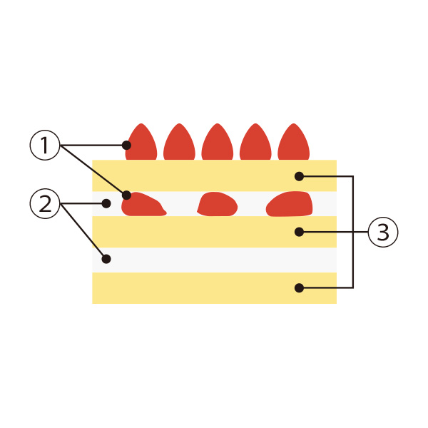 {Xy1224()Az13.q{bNTrNX}XN[fR[V