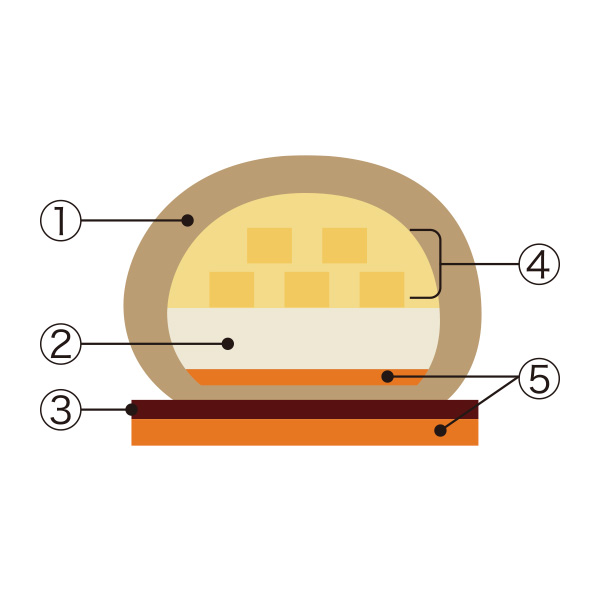 ׂ̃nJXߓS{Xy1224()Az21.qZgWXzerGNEh[